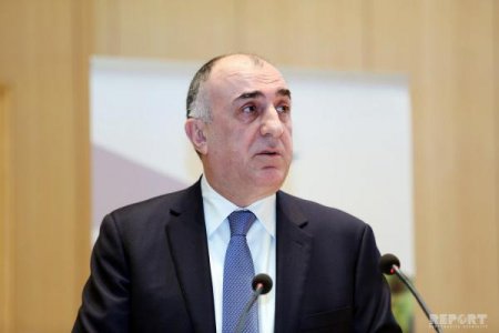 Elmar Məmmədyarov böhtanlara görə DTX-yə müraciət etdi