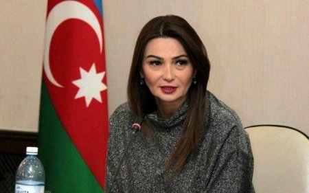 Qənirə Paşayeva: “Heç kim qanundan üstün deyil, heç kim dövlətə meydan oxuya bilməz”