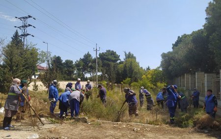 Suraxanıda mütəmadi abadlıq-təmizlik aksiyaları təşkil olunur - Foto