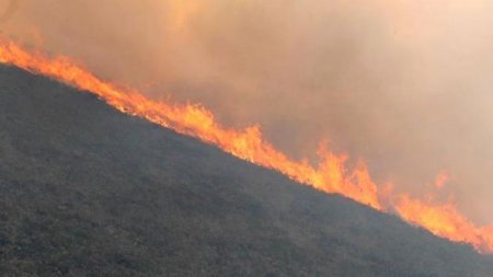 SON DƏQİQƏ: Azərbaycanda DƏHŞƏTLİ YANĞIN BAŞLADI