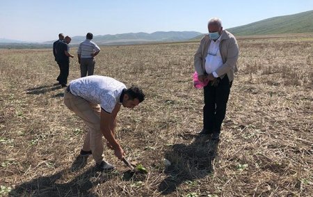 Oğuzda heyvanların kütləvi zəhərlənməsinin qarşısı alındı — FOTO