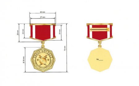 “Cəsur döyüşçü” medalı kimlərə veriləcək?