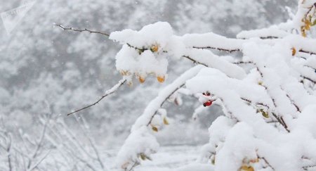 Sabahın hava proqnozu açıqlandı