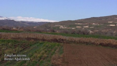 Zəngilanın Birinci Ağalı kəndindən - VİDEO