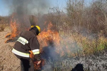 Hirkan Milli Parkında baş verən yanğının bir hissəsi söndürüldü