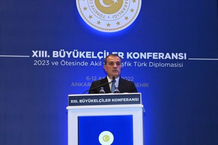 XİN Türkiyədə keçirilən 13-cü səfirlər konfransı ilə bağlı məlumat yayıb - FOTO