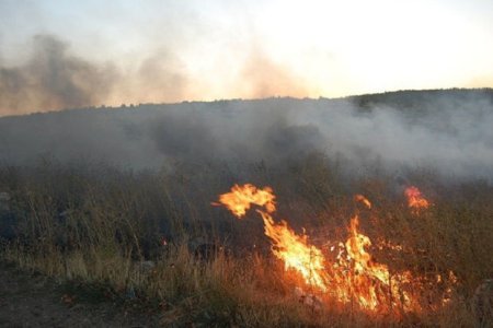 Şüvəlanda açıq ərazidə yanğın başlayıb