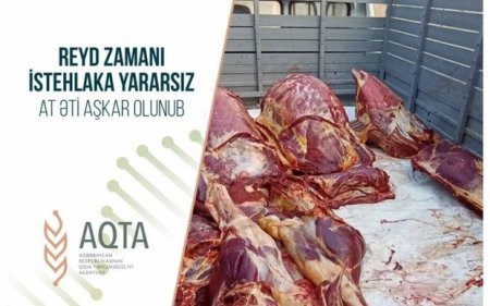 İstehlaka yararsız 300 kiloqram at cəmdəyi aşkarlandı - FOTO