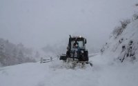 Gürcüstan hava ilə əlaqədar Ermənistan və Türkiyə istiqamətində yolları ağır yük maşınları üçün bağlayıb