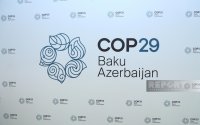 COP29 Könüllülük Proqramı üzrə müsahibələr yekunlaşıb