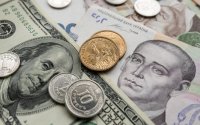Ukrayna baza valyuta kimi dollardan avroya keçid imkanını nəzərdən keçirir